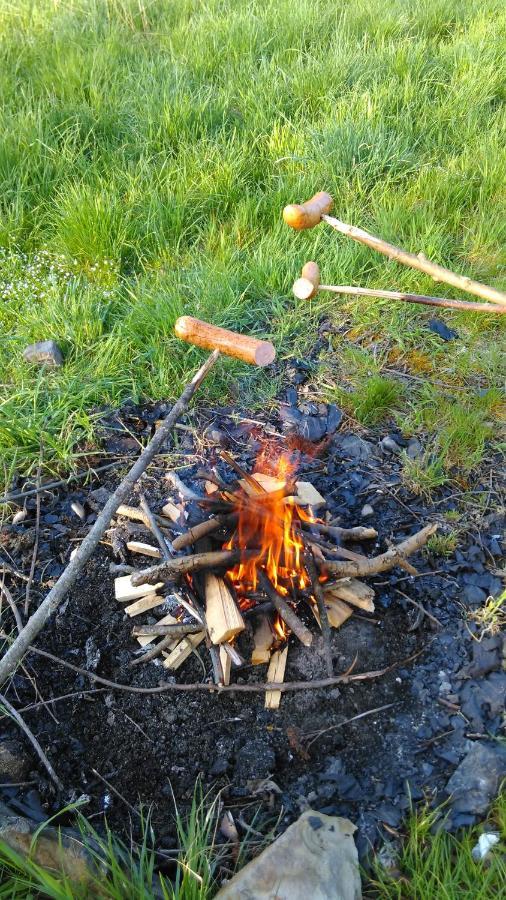 Organistowka Gospodarstwo agroturystyczne